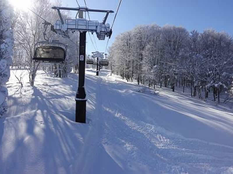 Ski Area | Himecho@Yasushi, Nozawaonsen, Japan
