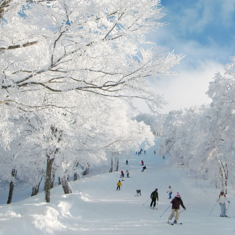 Skiing Slope | Himecho@Yasushi | Nozawaonsen, Japan